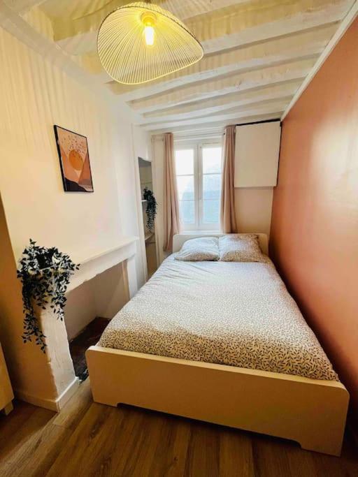 Appartement Les Hortensias Rouen